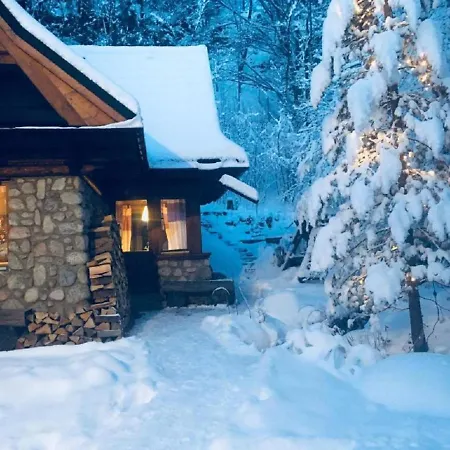 Apartament Jaworzyna Zakopane Exterior photo